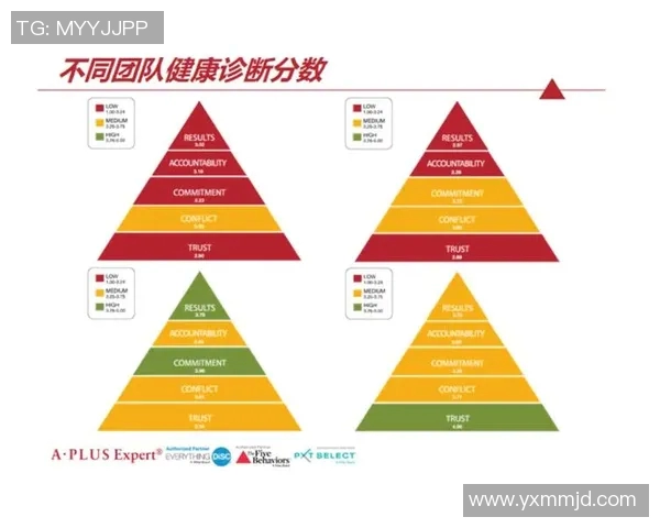 赛后分析:深圳排球队与成都排球队的团队协作表现及启示
